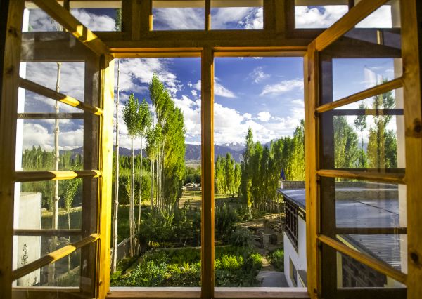 Wood Window Replacement in Mabank